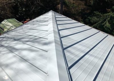 A residential house featuring a durable metal roof, installed by a reliable roofing company.