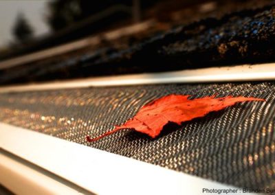 A red leaf sits on the railing of a train, accentuating its vibrant hue against the metallic backdrop.