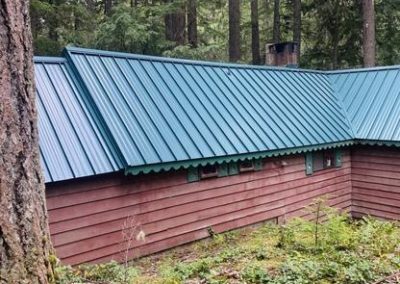 A rustic cabin nestled in the woods with a vibrant blue metal roof.