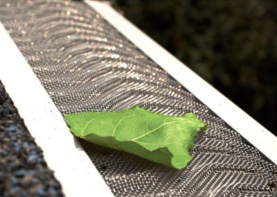 A leaf sits on top of a residential roofing gutter.