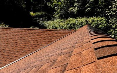 How Long Does a Roof Replacement Take in 2023?